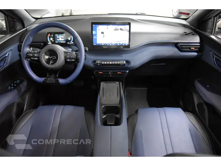 DOLPHIN MINI GS EV