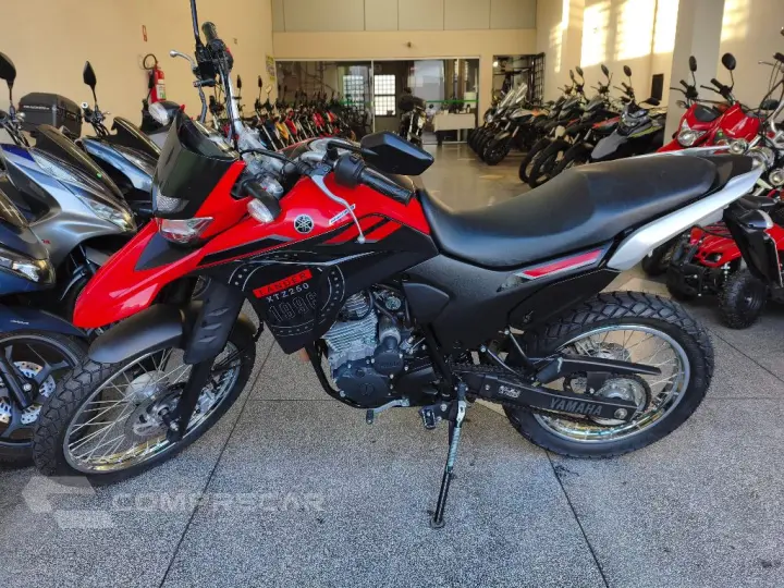 XTZ 250 LANDER 249cc/LANDER BLUEFLEX/ABS