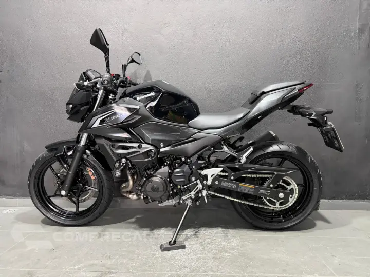 Z 500  ABS