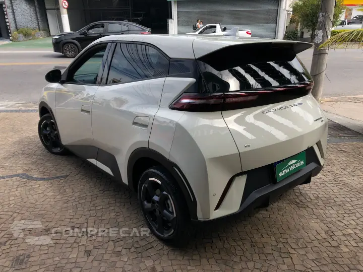 Dolphin Mini 38 Kw Elétrico