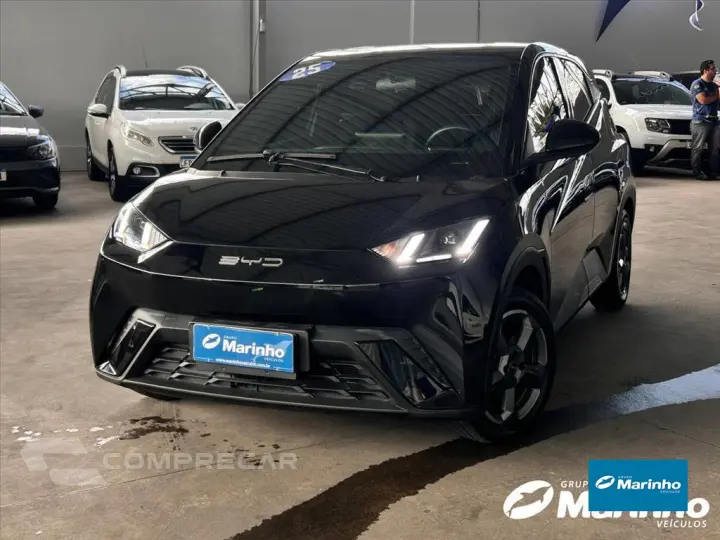 DOLPHIN MINI 38 KW ELÉTRICO