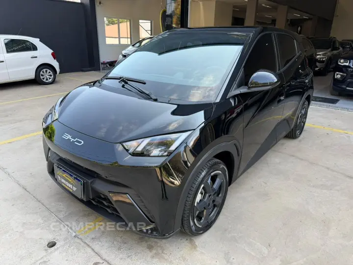 Dolphin Mini 38 Kw Elétrico