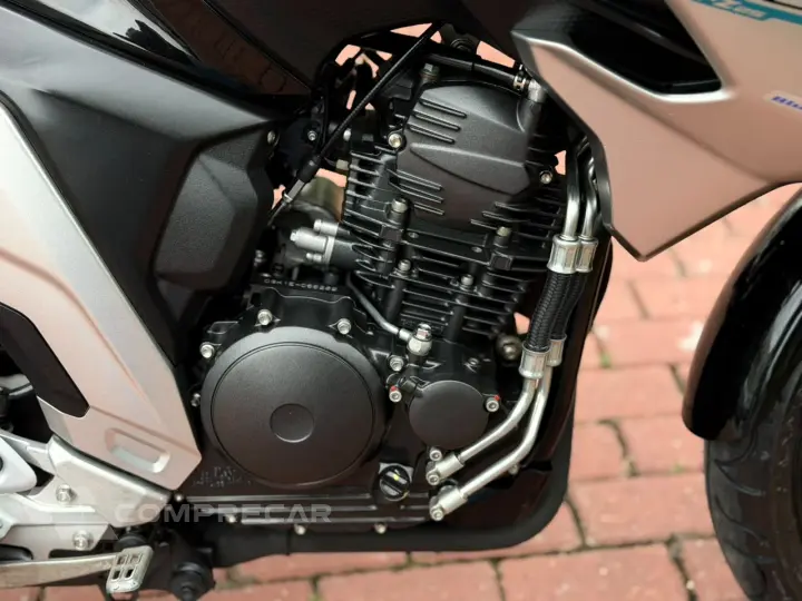 FZ25 FAZER