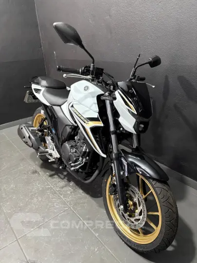 FZ 25 FAZER 250 ABS CONNECTED