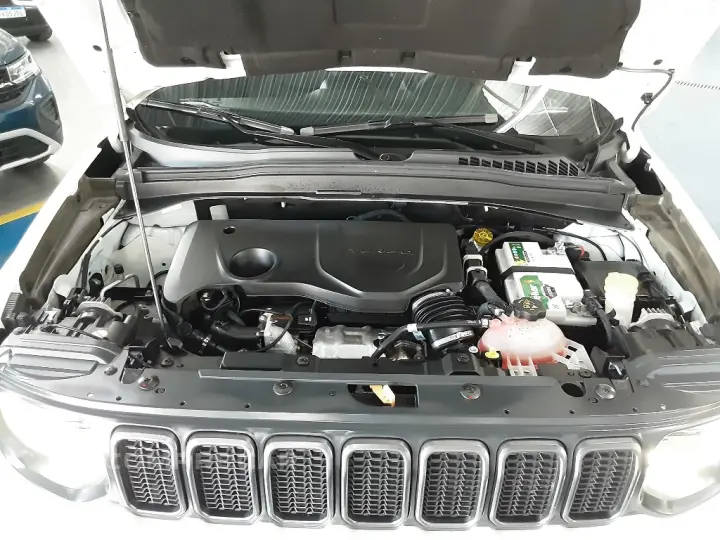 RENEGADE 1.3 T270 Turbo Flex S 4x4 At9