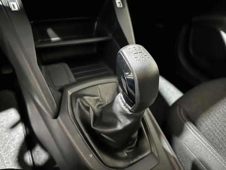 208 1.0 FIREFLY FLEX LIKE MANUAL