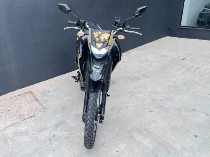 XTZ 250 LANDER 249cc/LANDER BLUEFLEX/ABS