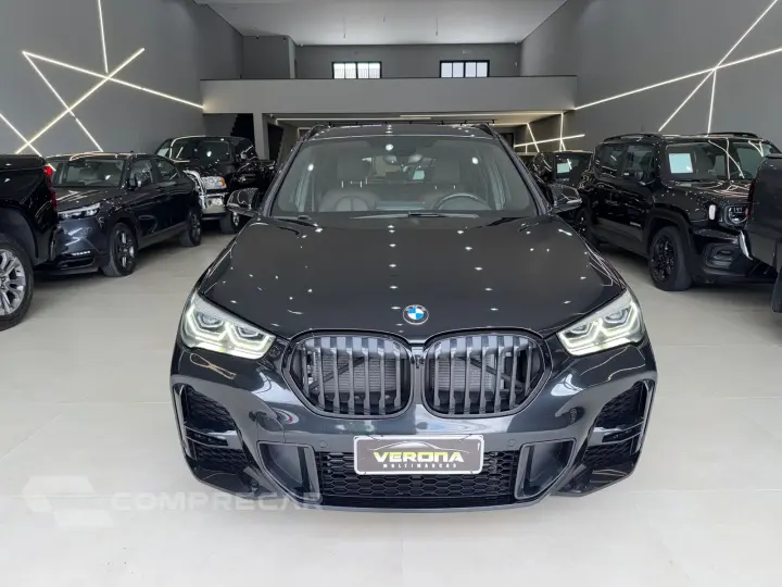 X1 Active flex M Sport