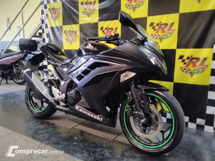 Ninja 300