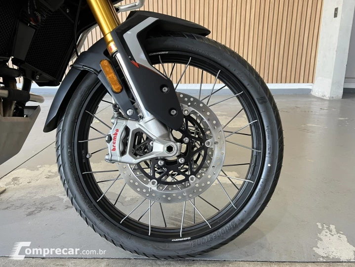 TIGER 900 RALLY PRO