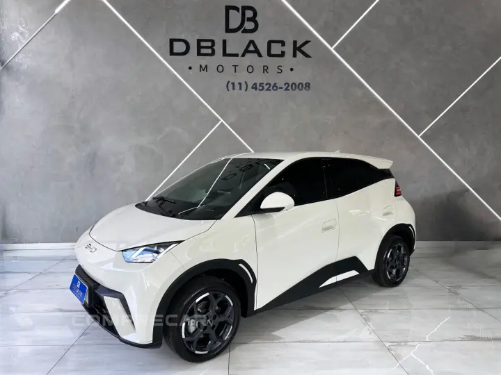 Dolphin Mini (Elétrico)