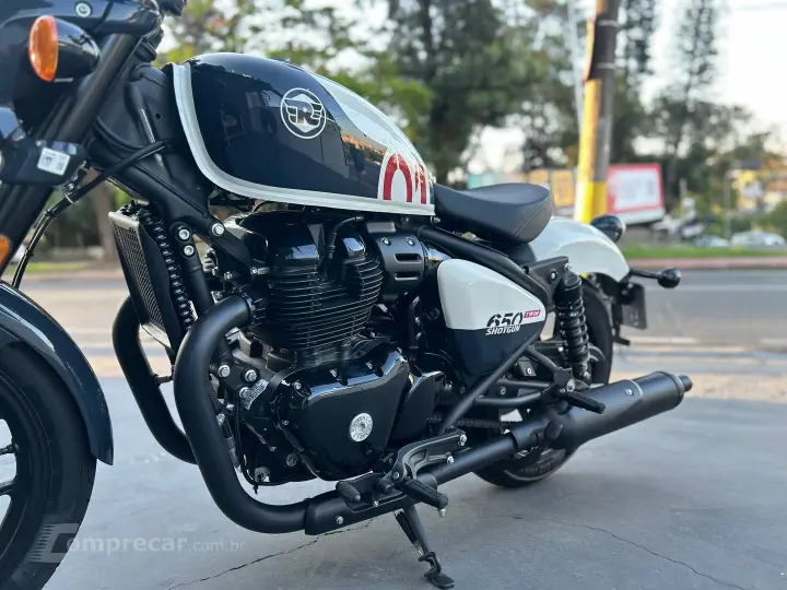 Shotgun 650 Stencil White