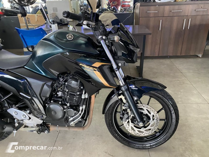 FZ 25 FAZER 250