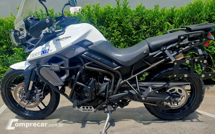 Tiger XRXL 800