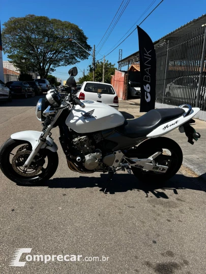 hornet 600