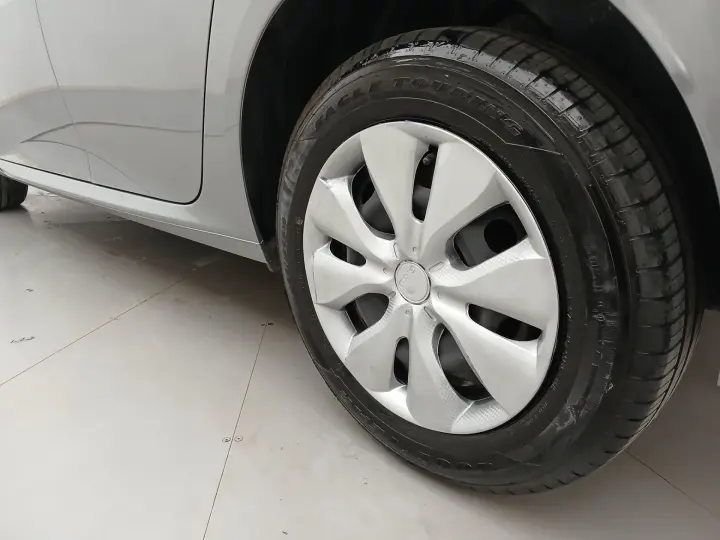 208 1.0 FIREFLY FLEX LIKE MANUAL