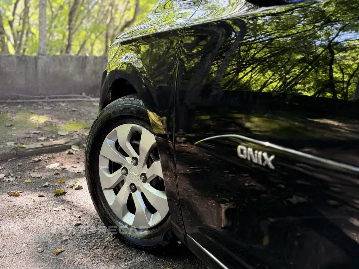 ONIX 1.0 MPFI LT 8V FLEX 4P MANUAL