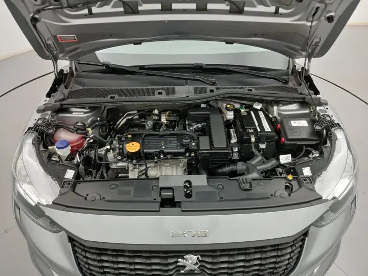 208 1.0 FIREFLY FLEX LIKE MANUAL