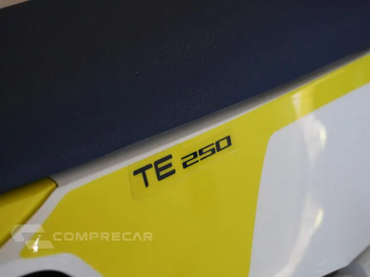 FE 250