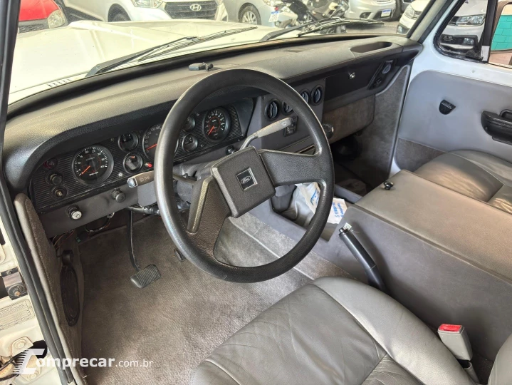 F-1000 3.9 SUPER SÉRIE 4X2 CS 8V TURBO DIESEL 2P MANUAL
