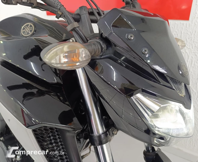 FZ25 FAZER 250
