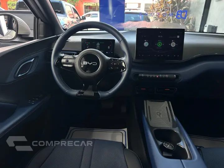 Dolphin Mini (Elétrico)