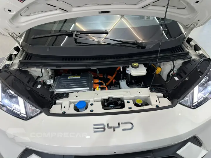 Dolphin EV GS (Elétrico)
