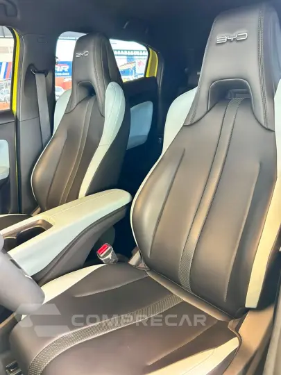 Dolphin Mini (Elétrico)