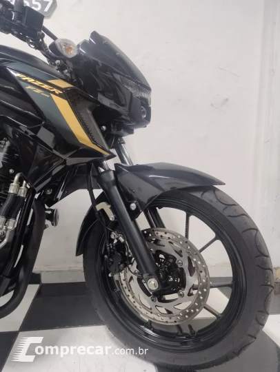 FZ25