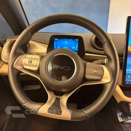 Dolphin EV (Elétrico)