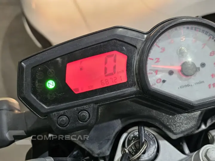 YS 250 FAZER/ FAZER L. EDITION /BLUEFLEX