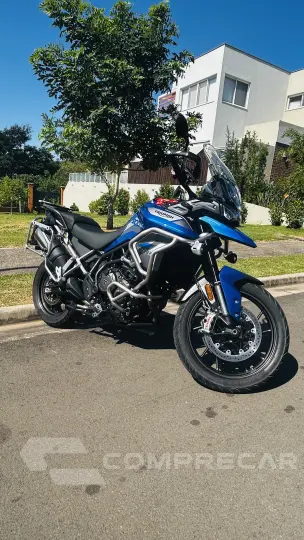 Tiger 900 GT PRO