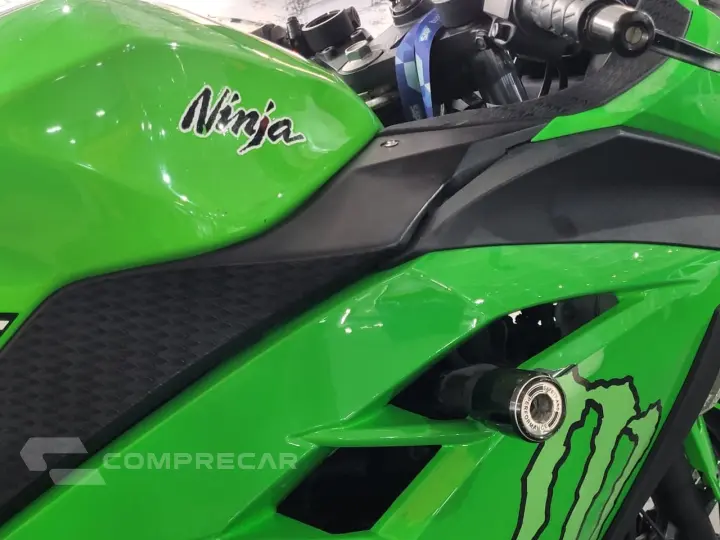 NINJA 300
