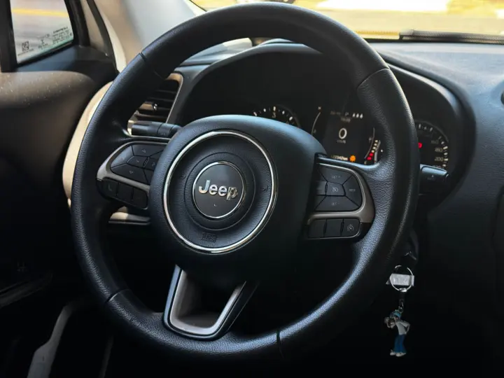 RENEGADE 2.0 16V Turbo Sport 4X4