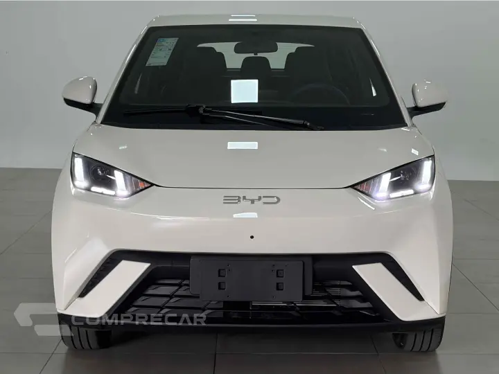 DOLPHIN MINI 38 KW ELÉTRICO GS