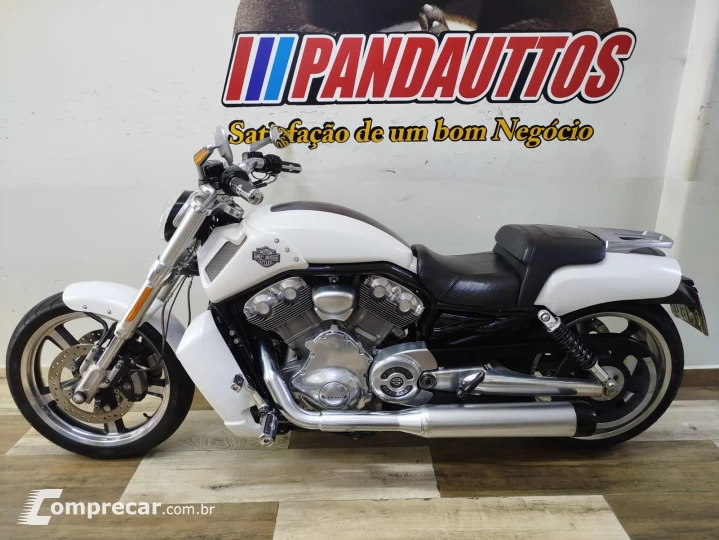 V Rod Custom 1250 cc