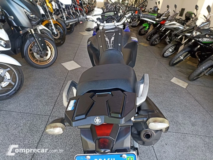 XTZ 250 TENERE/TENERE BLUEFLEX