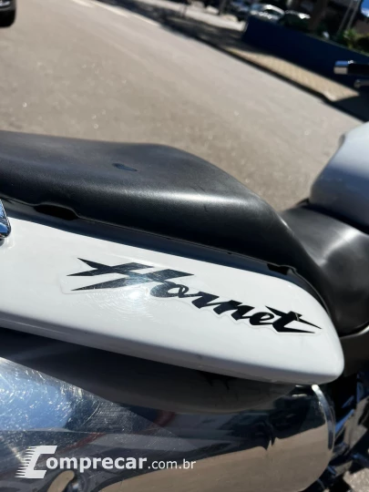 hornet 600