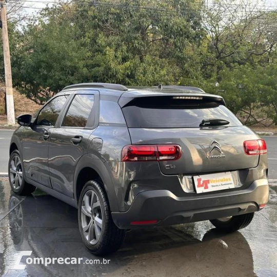 C4CACTUS FEEL AT