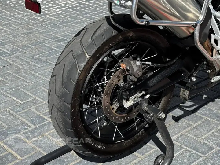 TIGER 900 RALLY PRO