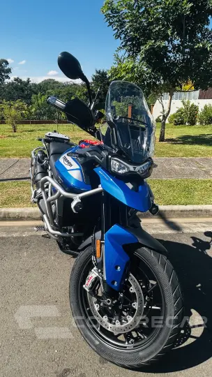 Tiger 900 GT PRO