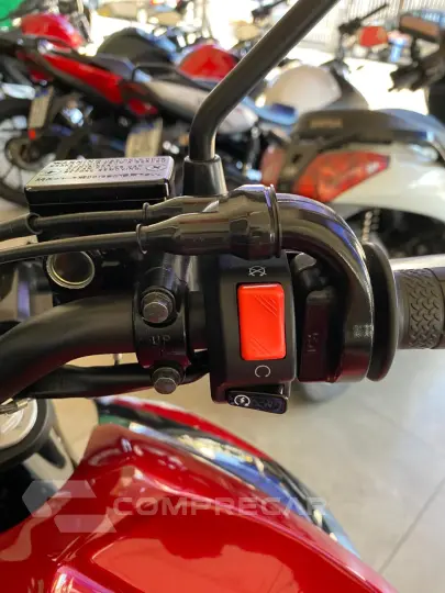 FZ 25 FAZER 250