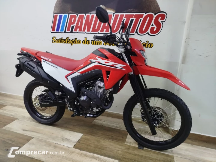 XR 300L 50 cc