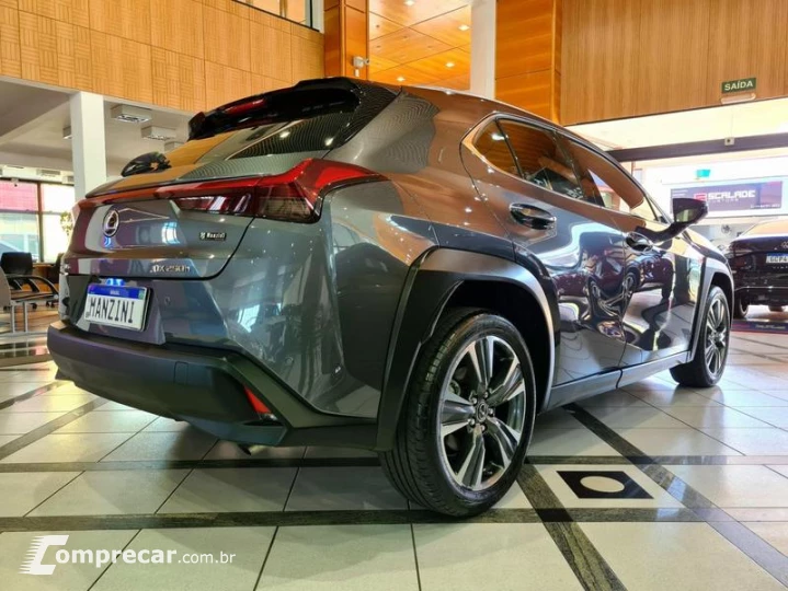 UX250H LUXURY