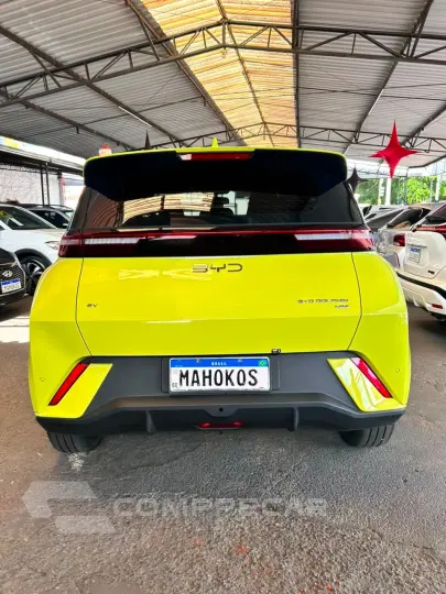 Dolphin Mini (Elétrico)