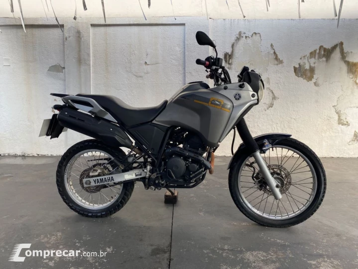 XTZ 250 TENERE/TENERE BLUEFLEX