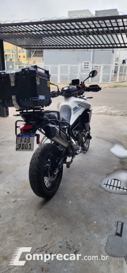 tiger 900 rally pro