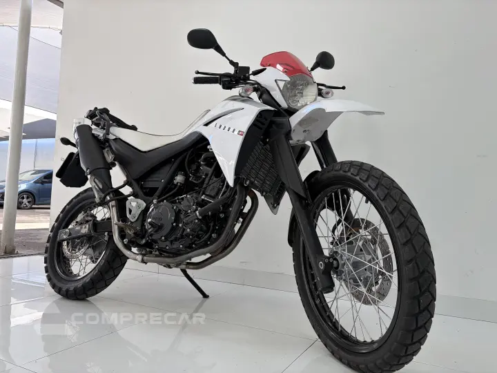 Xt