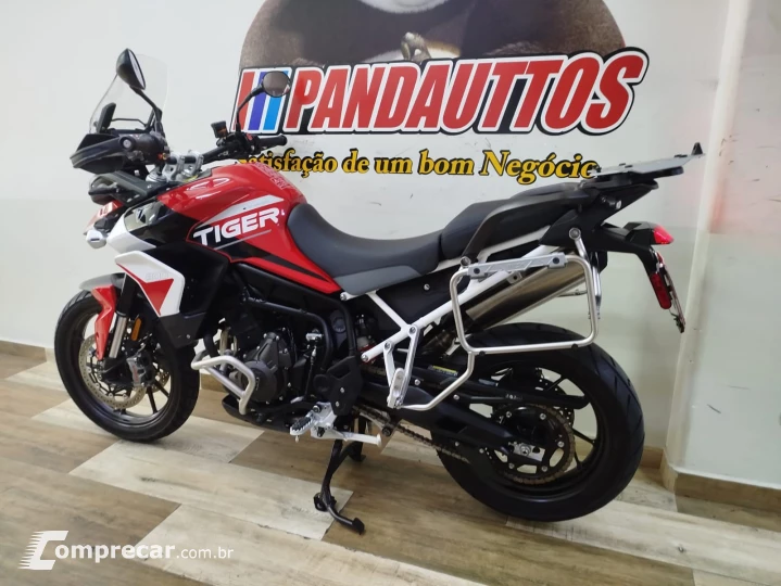 Tiger 900 GT ARAGÓN
