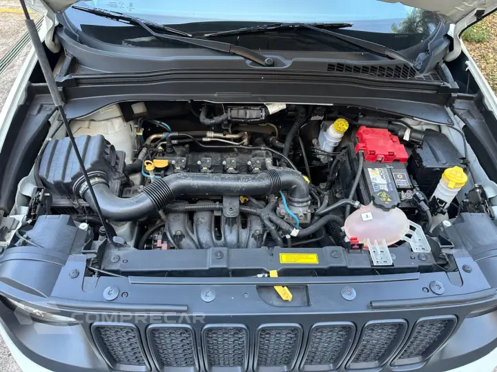 Renegade 1.8 16V 4P FLEX